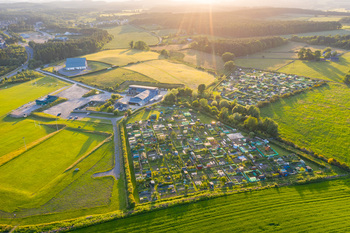 Allotments 