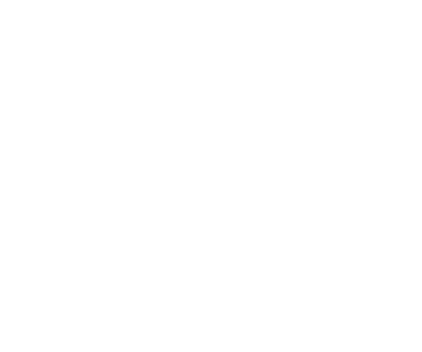 Park Avenue Rochester