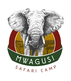 Mwagusi Safari Camp in Ruaha National Park — photo 2