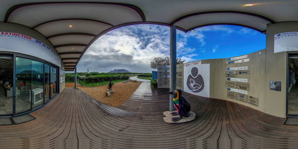African Penguin and Seabird Sanctuary - Gansbaai 360 tour preview