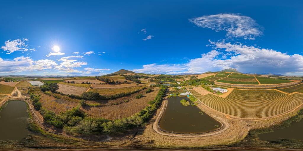 Ladybird Vineyards 360 tour preview