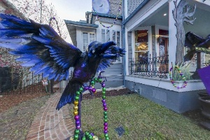 Ravens Do Mardi Gras