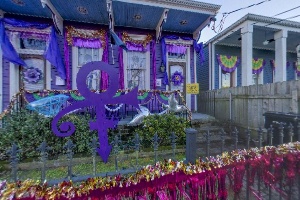 Purple Rain House