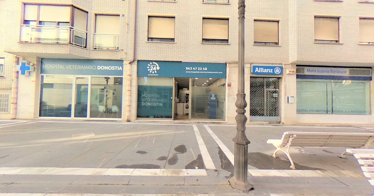 HOSPITAL VETERINARIO DONOSTIA Hospital veterinario donostia