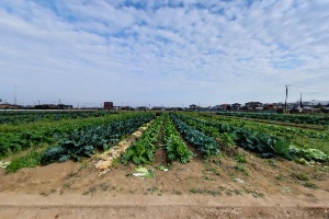 埼玉県立羽生実業高等学校