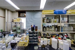 生物工学実験室
