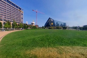 Commons Lawn and Stadium