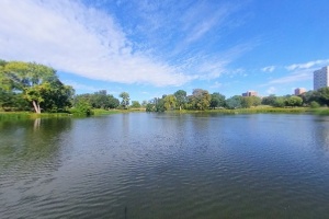 Loring Pond